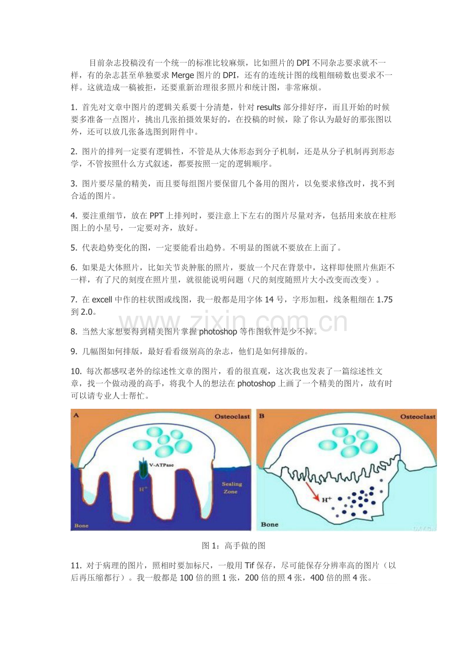 SCI实验数据处理(图片-图表-文字).docx_第2页