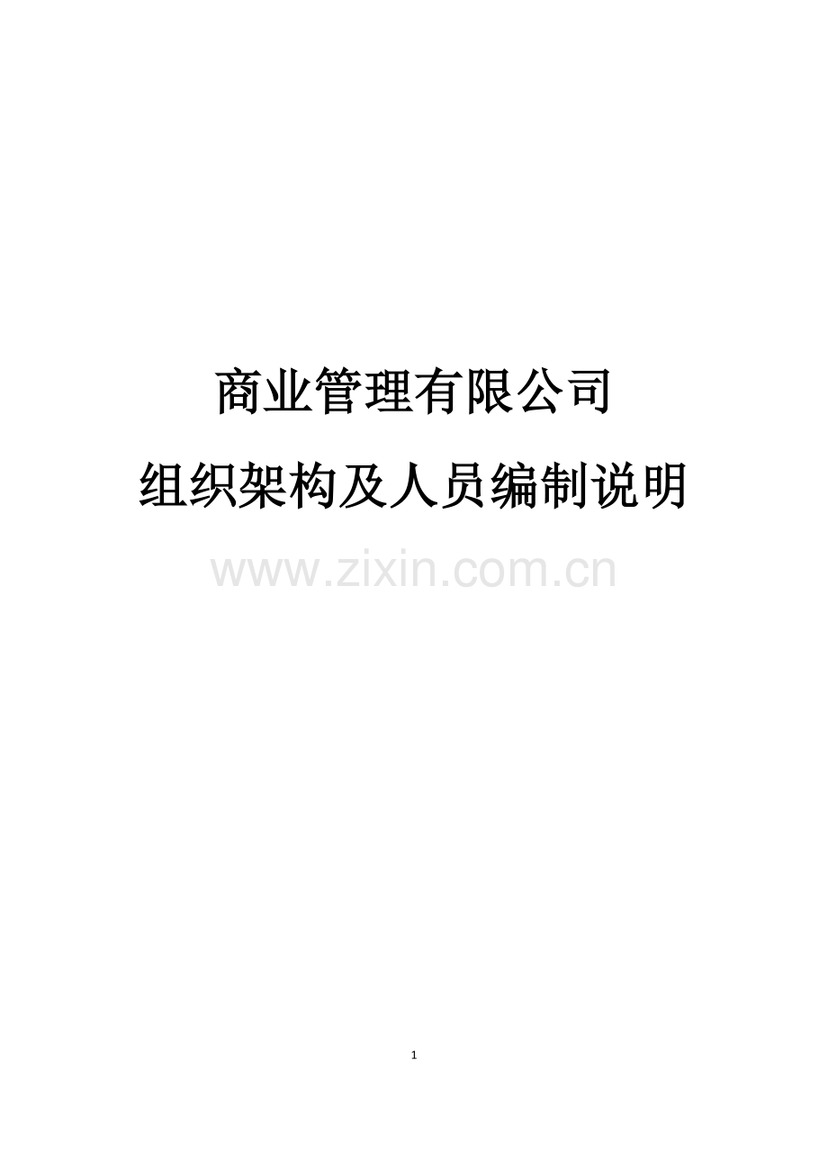 商业运营管理公司人员架构及岗位说明.docx_第1页