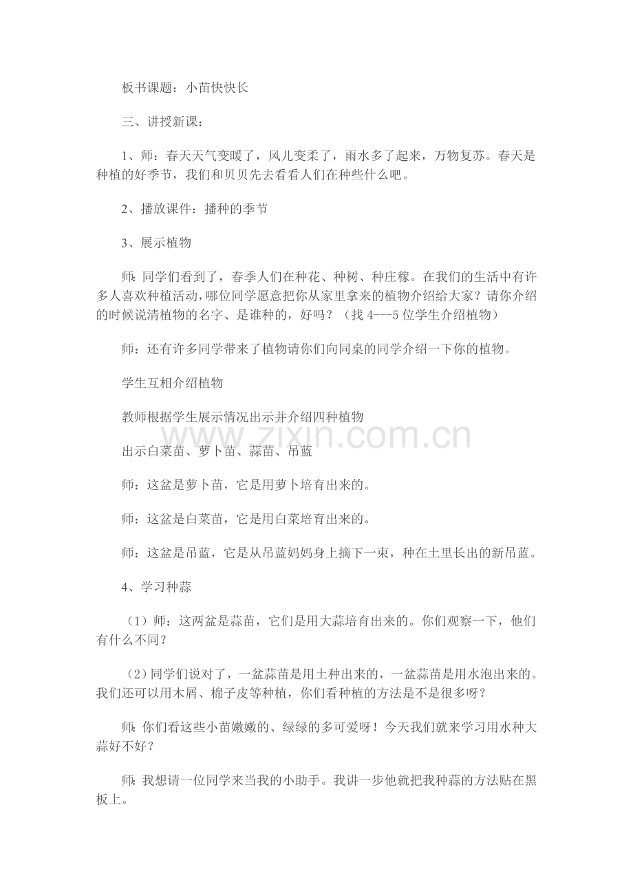 小苗快快长.doc_第2页