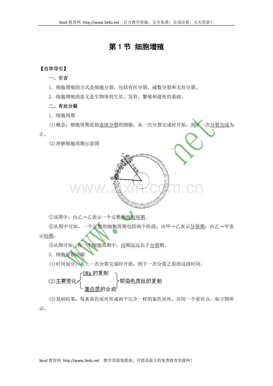 高一生物细胞增殖复习1.doc_第1页