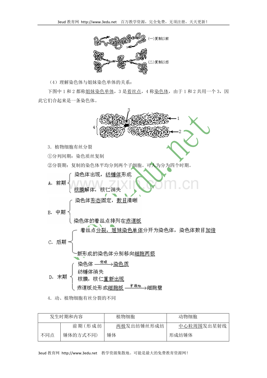 高一生物细胞增殖复习1.doc_第2页