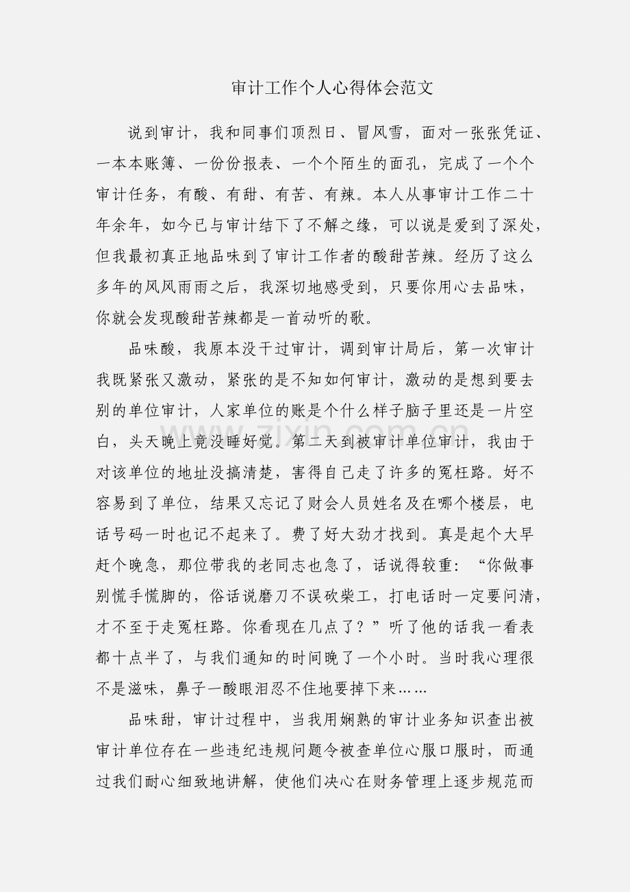 审计工作个人心得体会范文.docx_第1页