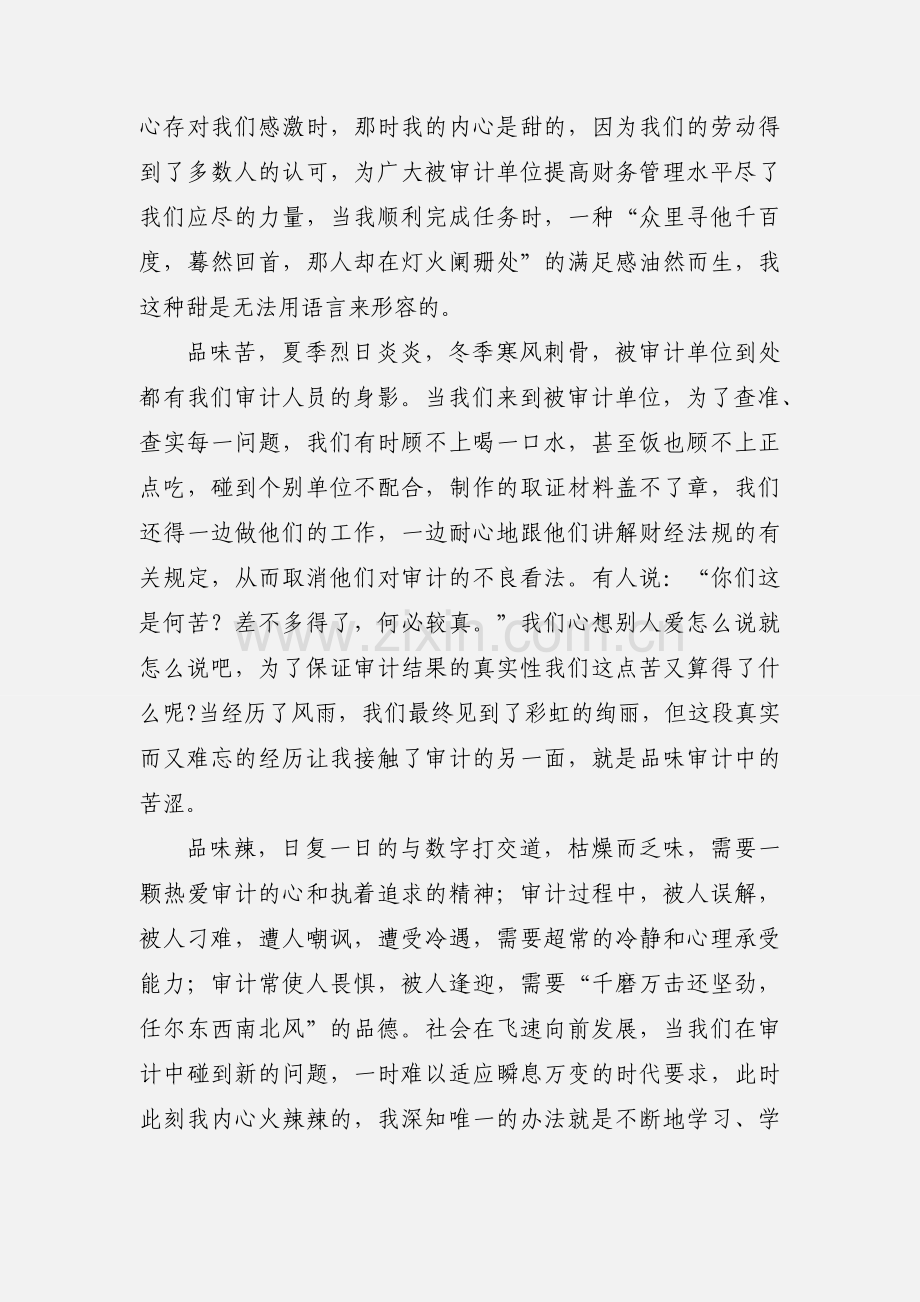 审计工作个人心得体会范文.docx_第2页