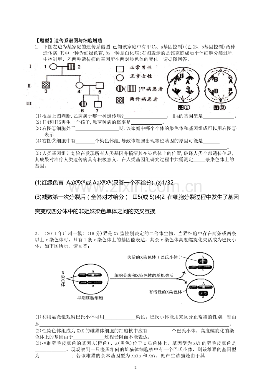 伴性遗传专题练习题---答案解析.doc_第2页