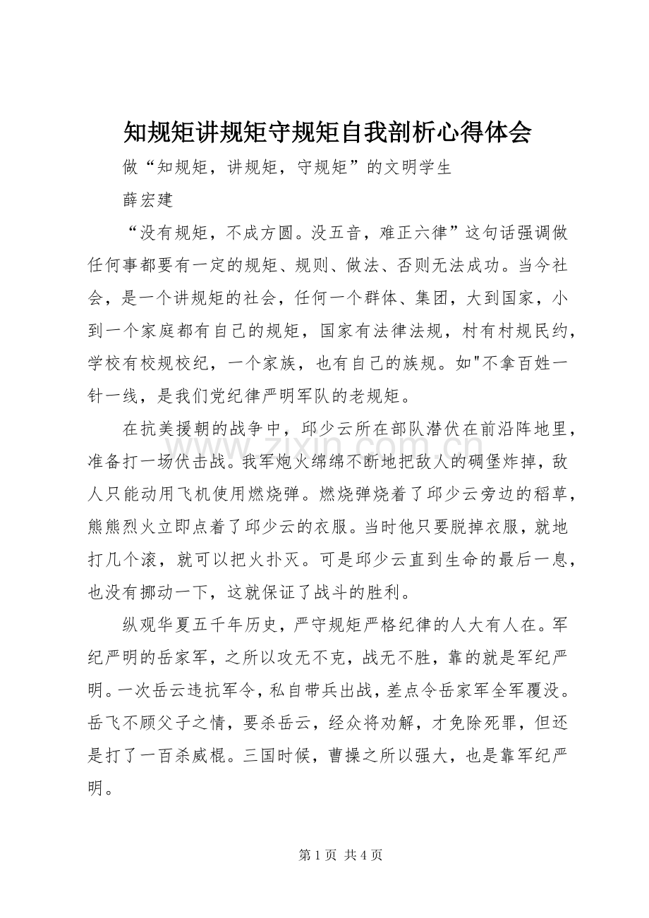 知规矩讲规矩守规矩自我剖析体会心得.docx_第1页