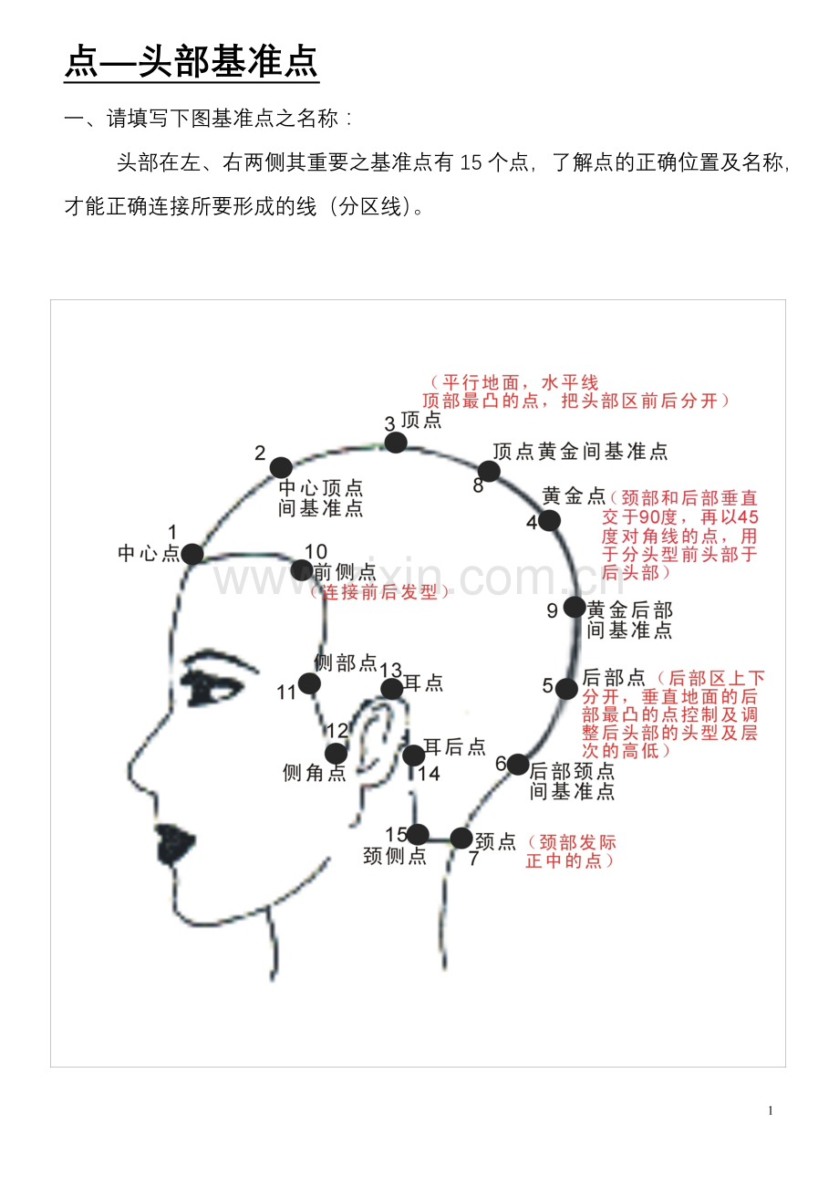 美发基础点、线、面.doc_第1页
