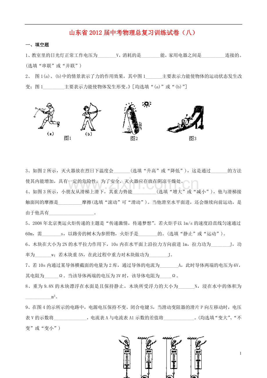 山东省中考物理总复习训练试卷(八).doc_第1页