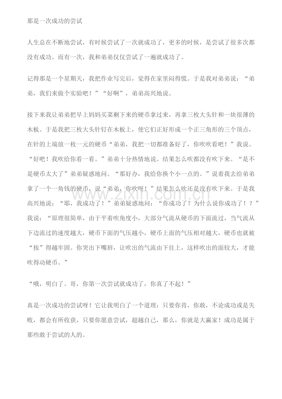 那是一次成功的尝试.docx_第1页