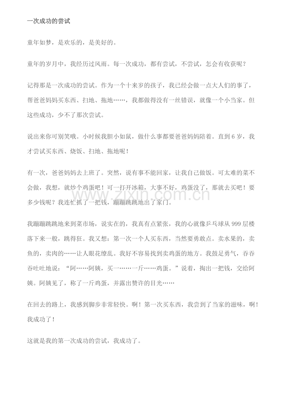 那是一次成功的尝试.docx_第2页