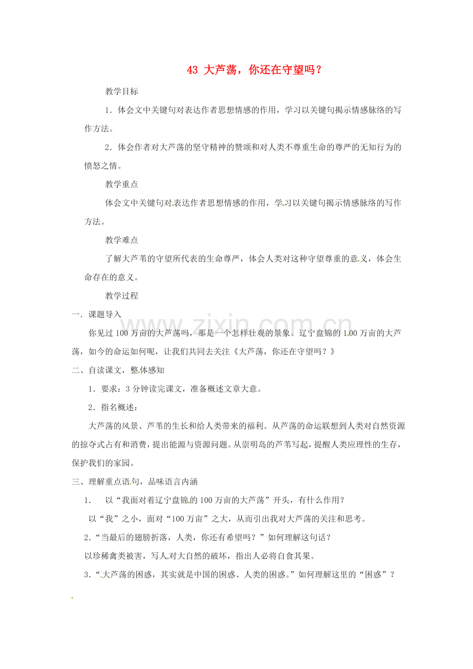 上海五四制语文八上《大芦荡-你还在守望吗？》.doc_第1页