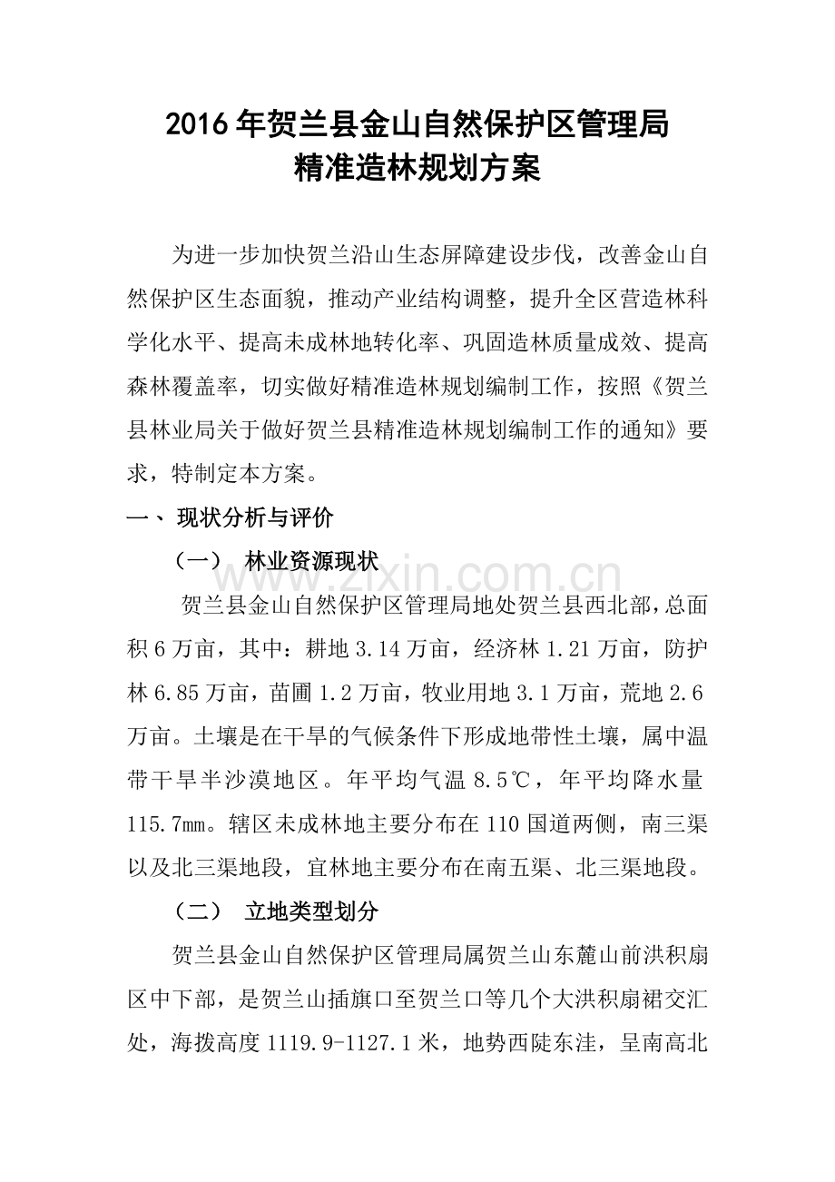XXXX精准造林规划方案.doc_第1页