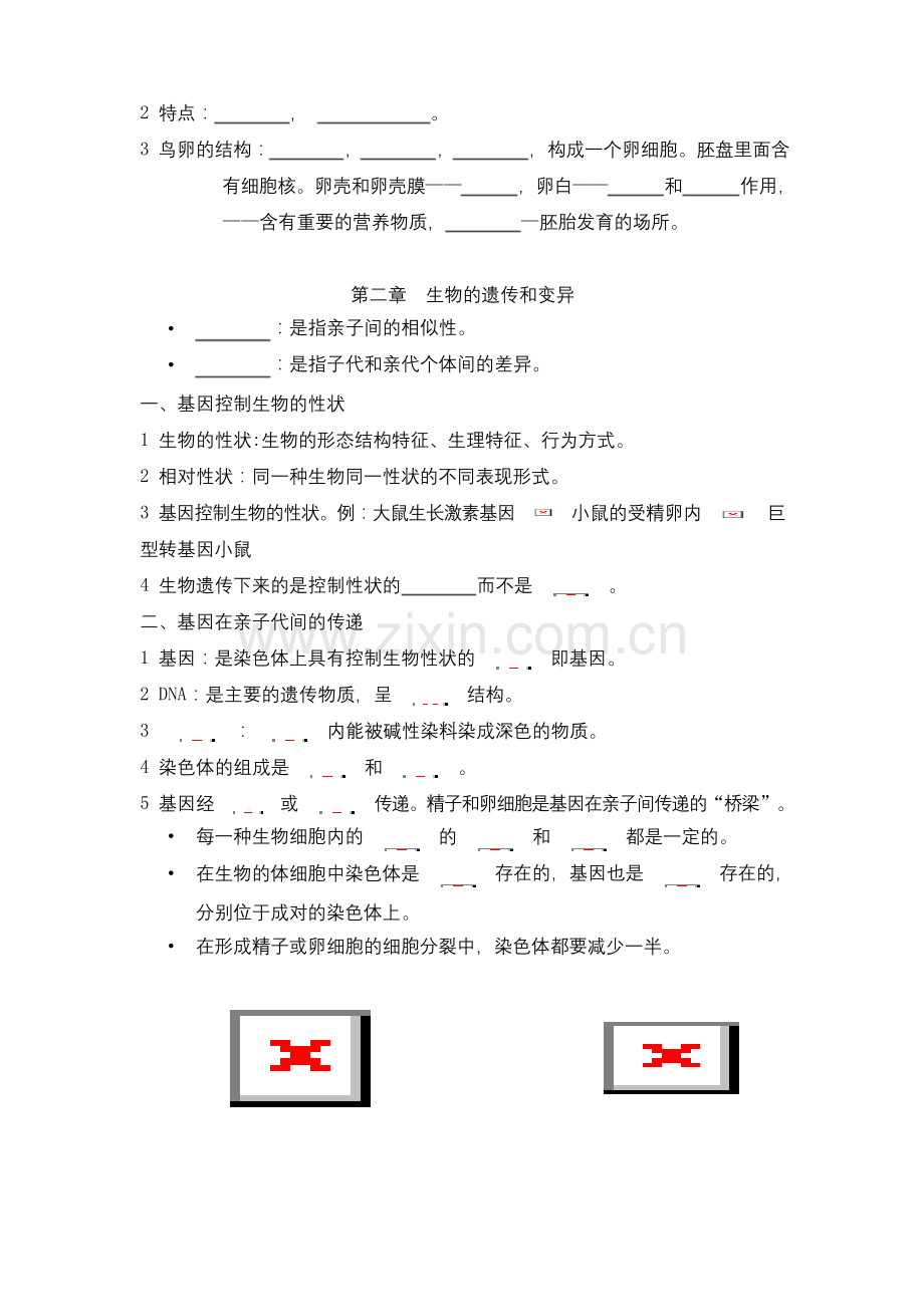八下人教版生物知识点总结填空(含答案).docx_第2页