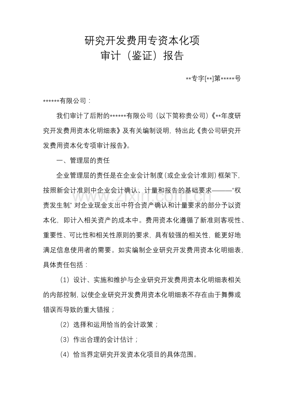 研究开发费用资本化专项审计.docx_第1页