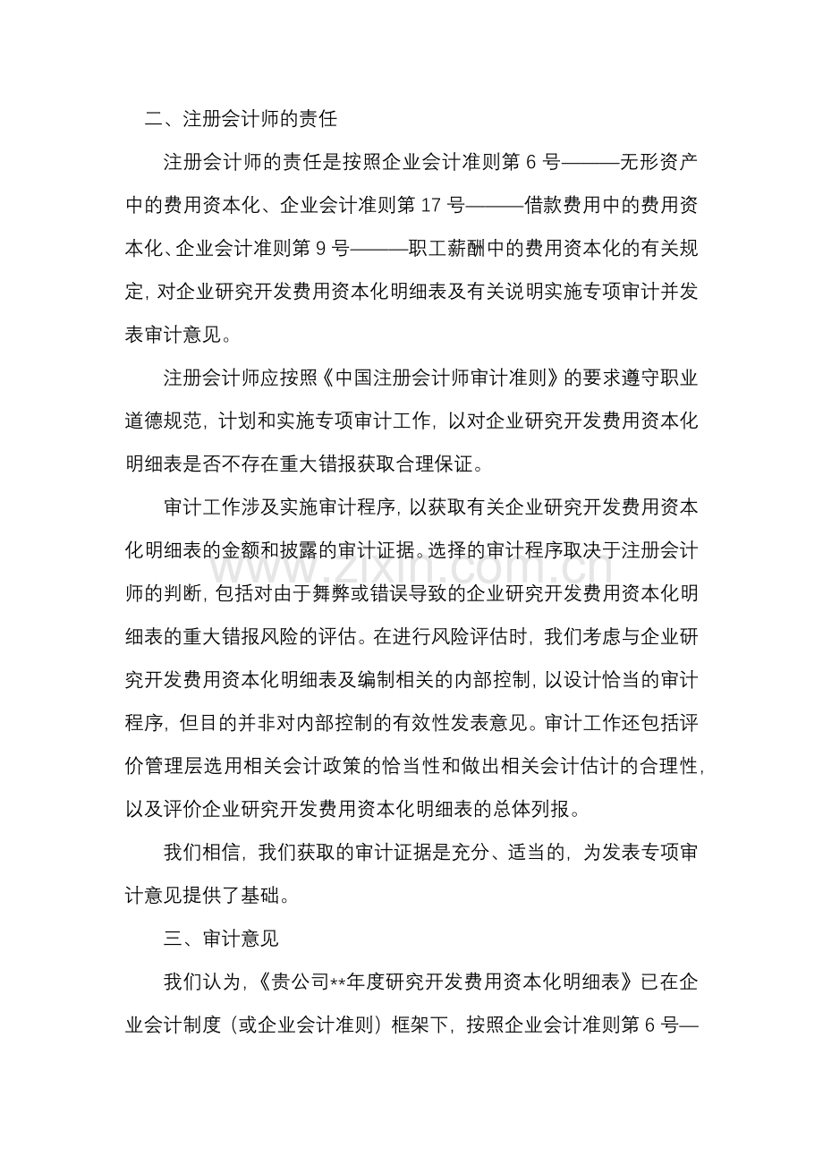 研究开发费用资本化专项审计.docx_第2页