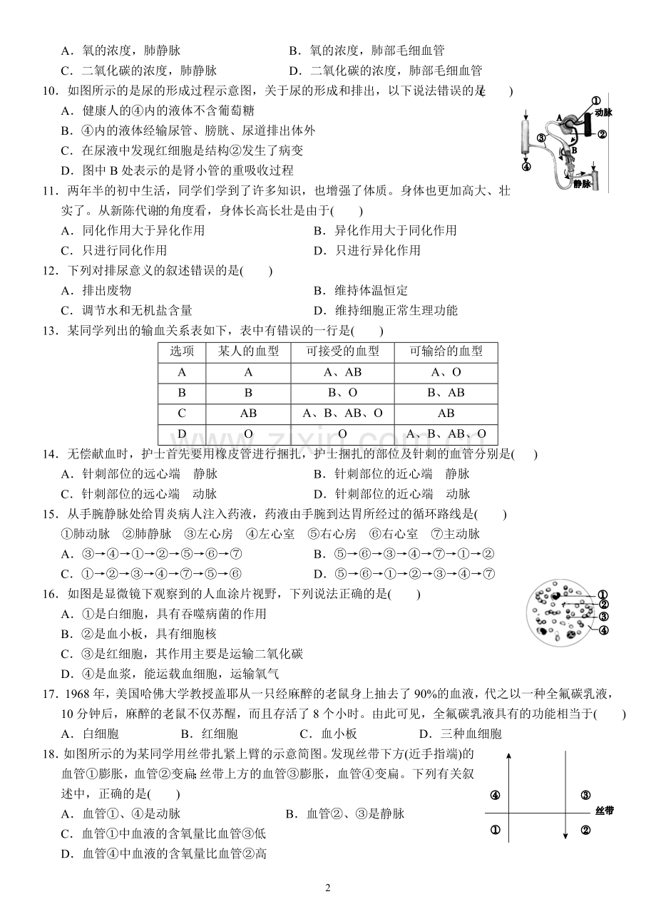 九年级上册第四章代谢与平衡课堂观测.doc_第2页