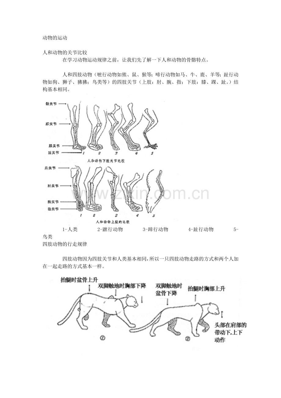 动物动作设计-兽类走.doc_第1页