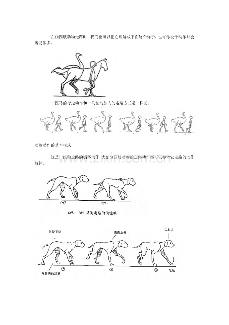 动物动作设计-兽类走.doc_第2页