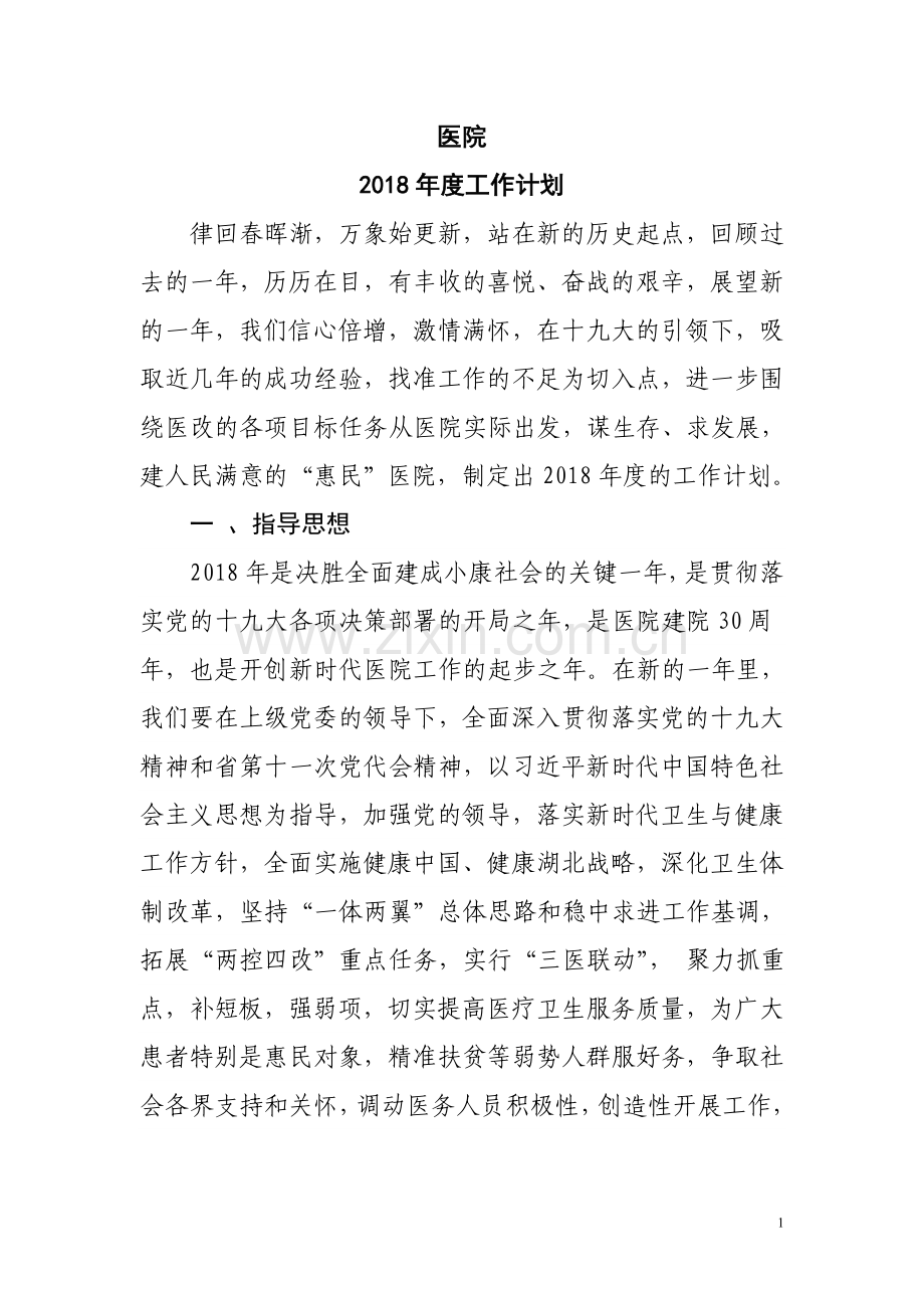 医院2018年度工作计划.doc_第1页