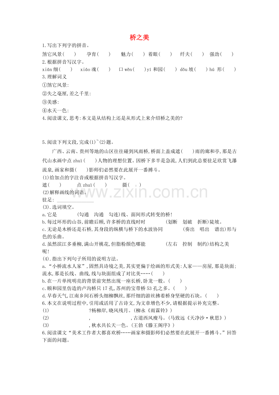 人教初中语文八上《桥之美》.doc_第1页