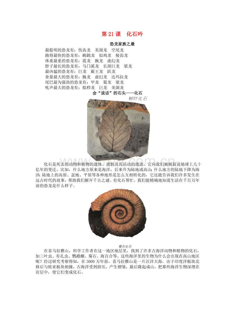 人教初中语文七上《化石吟》-(一1).doc_第1页