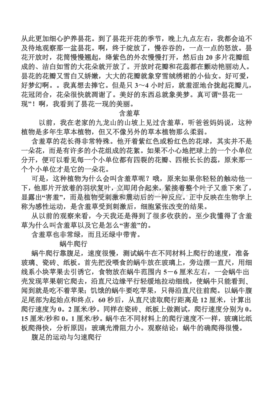 四年级语文上册作文总复习范文.doc_第2页