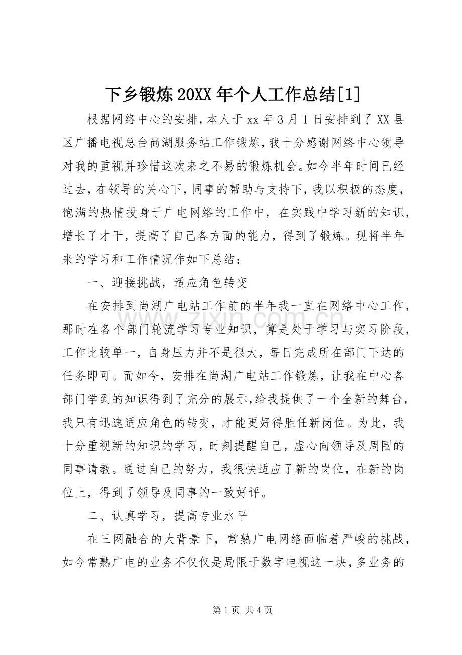 下乡锻炼20XX年个人工作总结[1].docx_第1页
