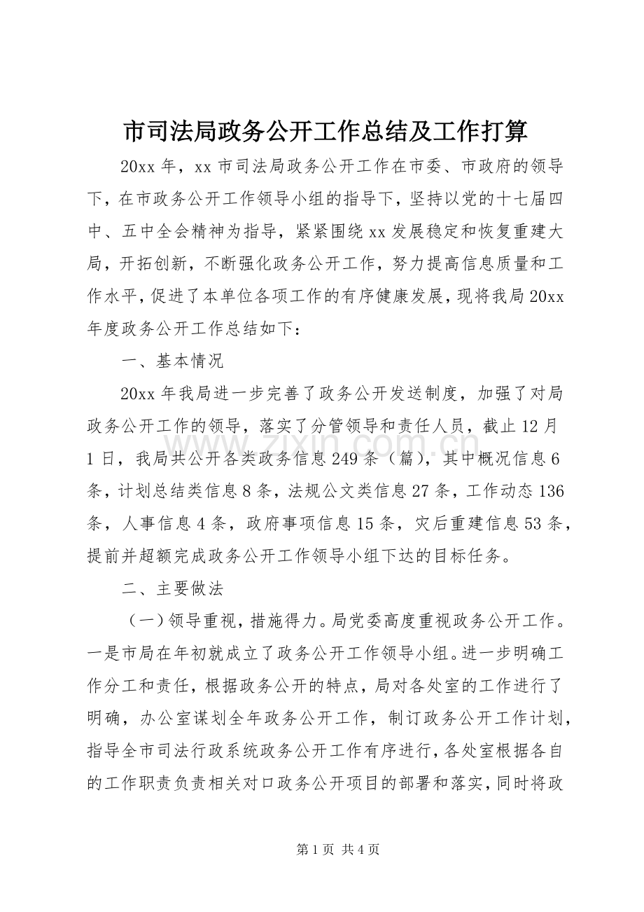 市司法局政务公开工作总结及工作打算 .docx_第1页