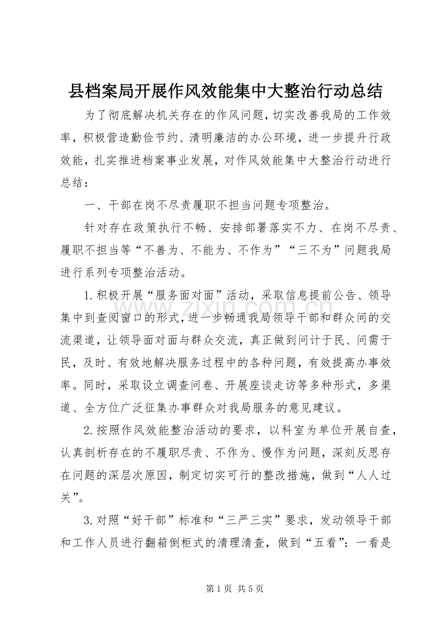 县档案局开展作风效能集中大整治行动总结 .docx_第1页