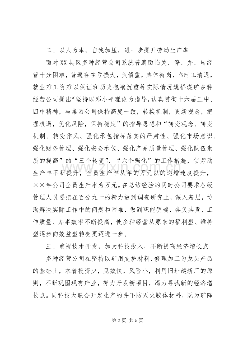 多种经营公司经验总结 .docx_第2页