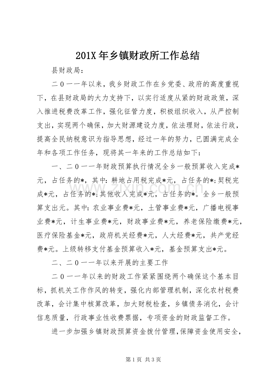 202X年乡镇财政所工作总结.docx_第1页