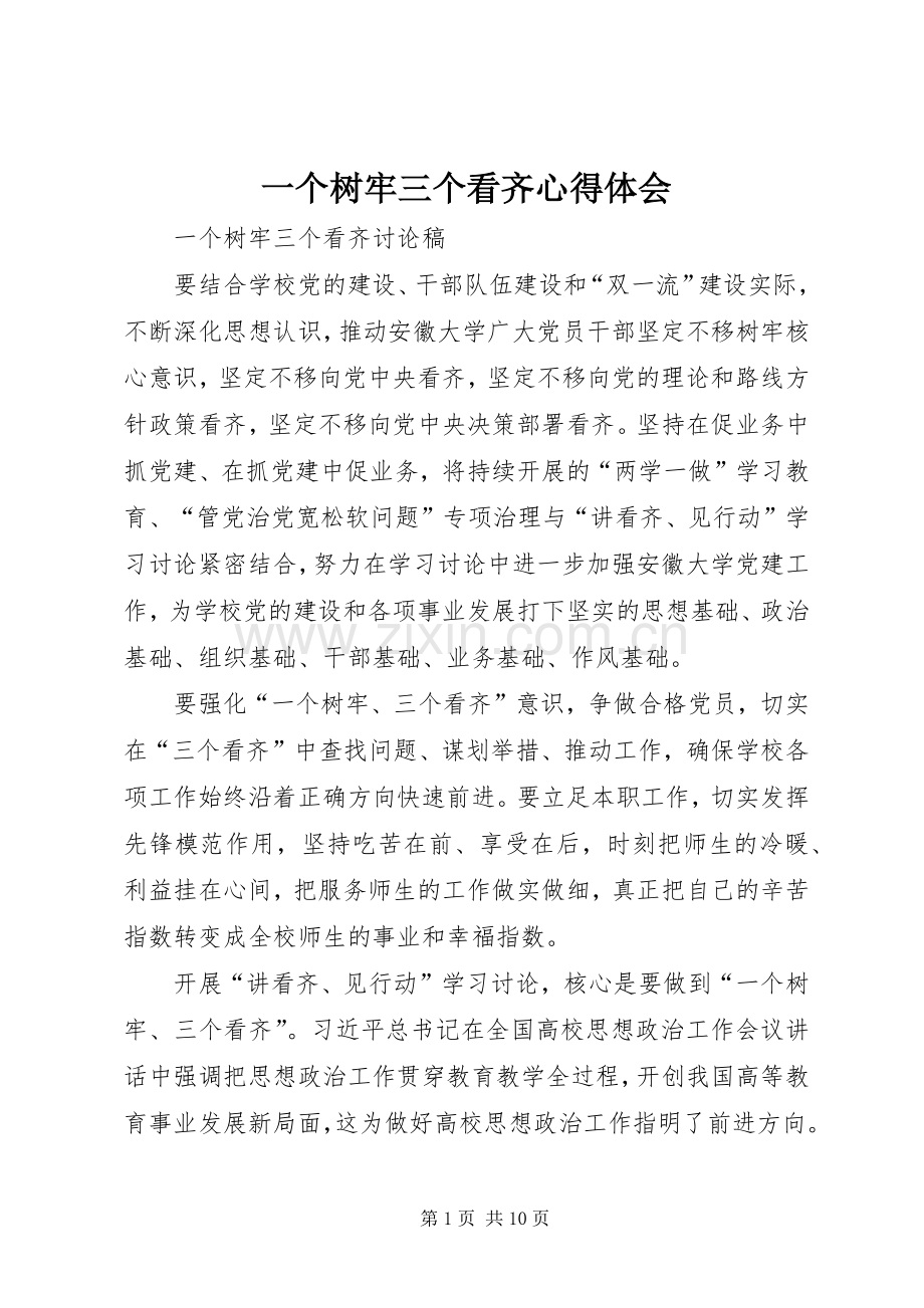 一个树牢三个看齐体会心得.docx_第1页