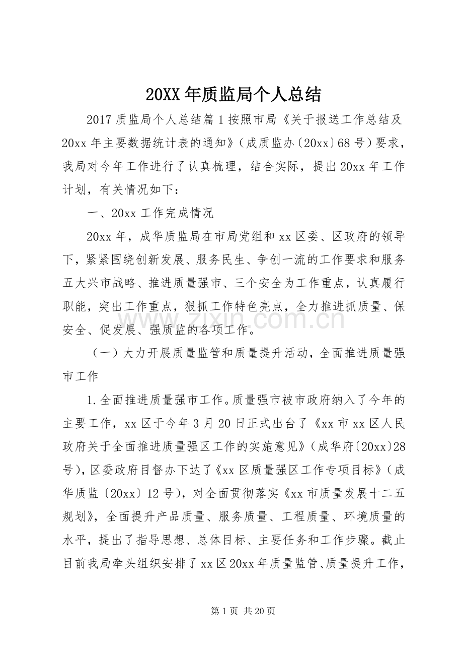 20XX年质监局个人总结.docx_第1页