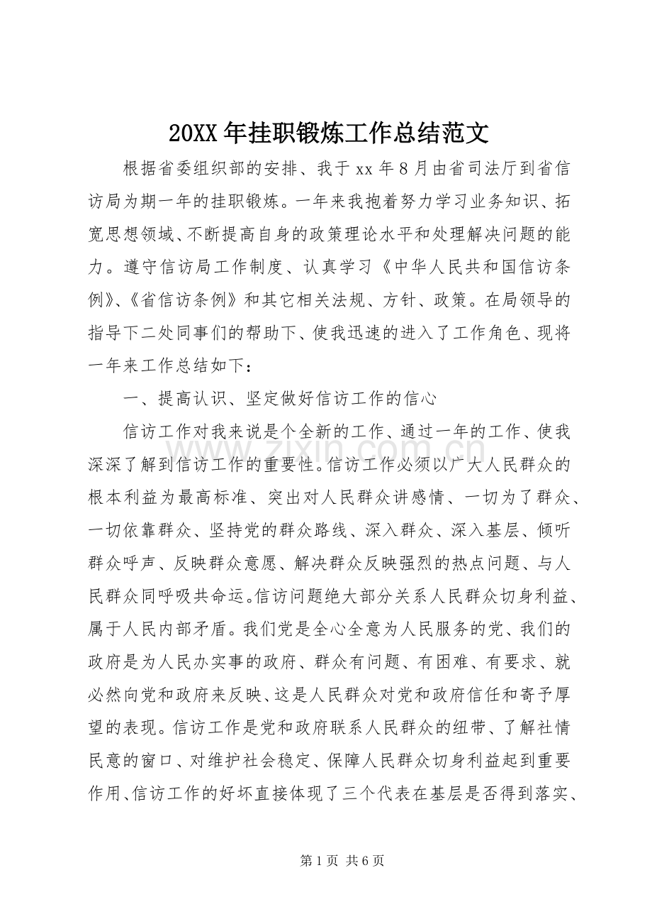 20XX年挂职锻炼工作总结范文.docx_第1页