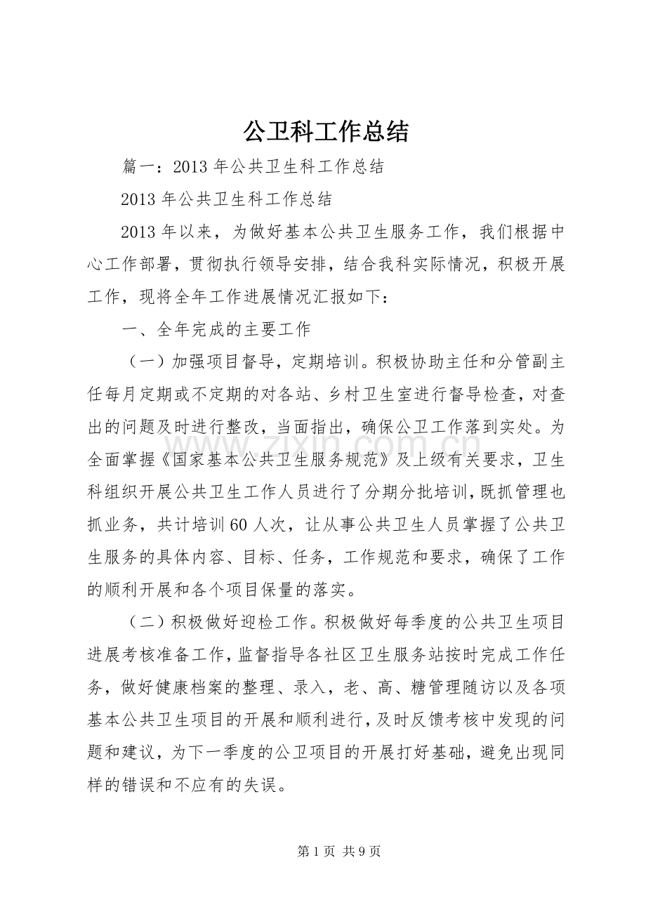 公卫科工作总结 .docx_第1页