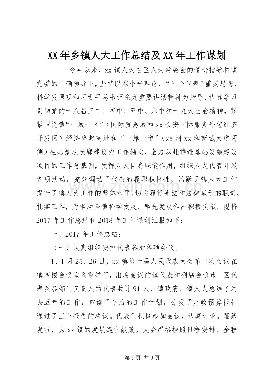 XX年乡镇人大工作总结及XX年工作谋划 .docx_第1页