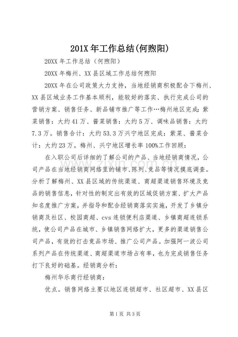 202X年工作总结(何煦阳).docx_第1页