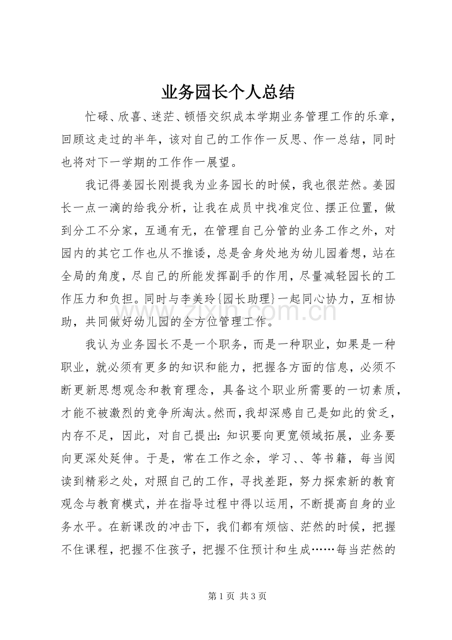 业务园长个人总结 .docx_第1页