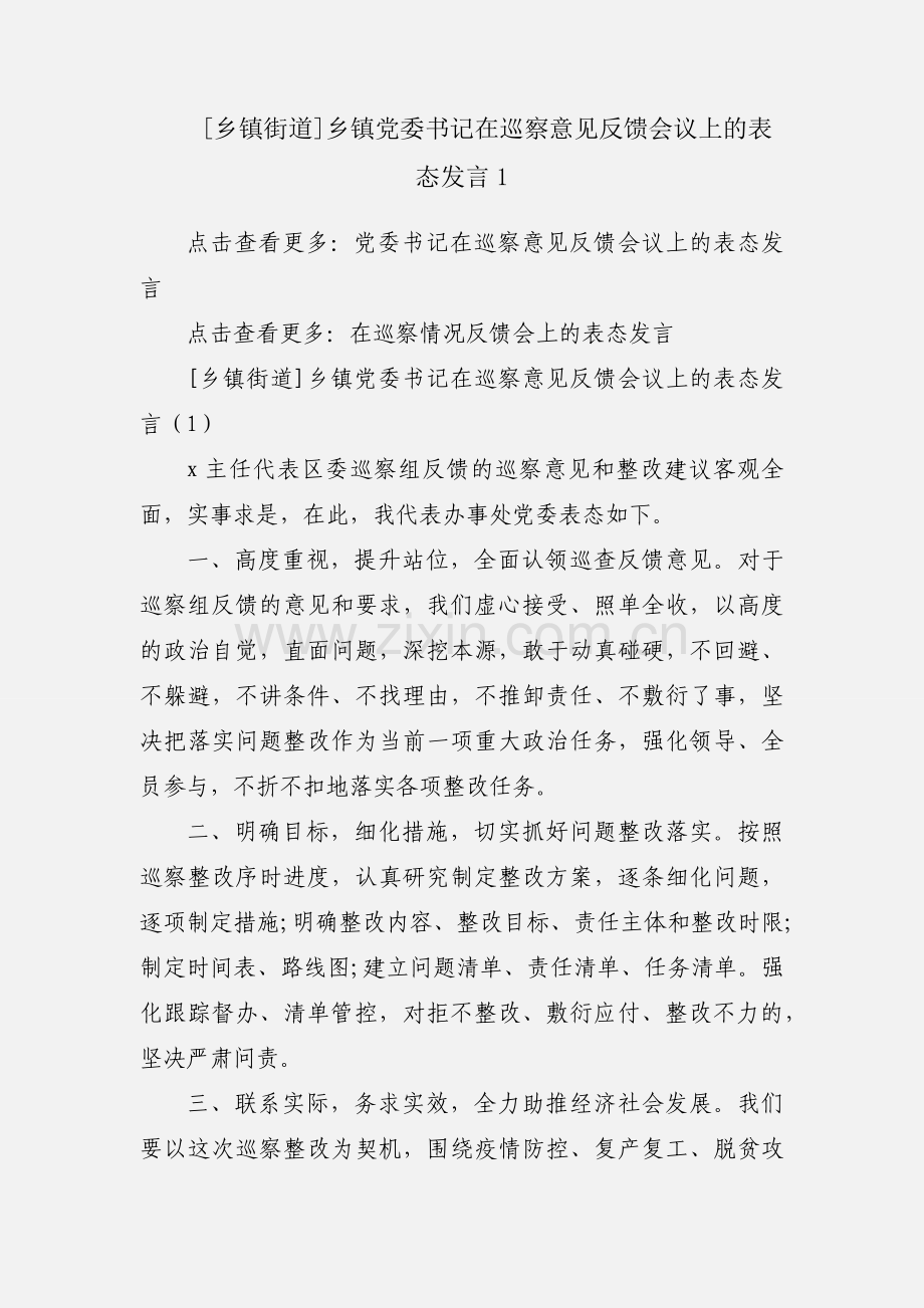 [乡镇街道]乡镇党委书记在巡察意见反馈会议上的表态发言1.docx_第1页