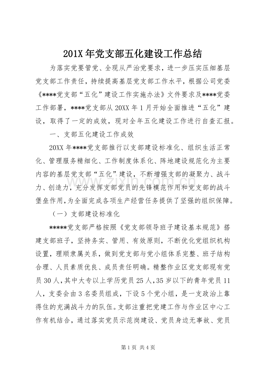202X年党支部五化建设工作总结.docx_第1页