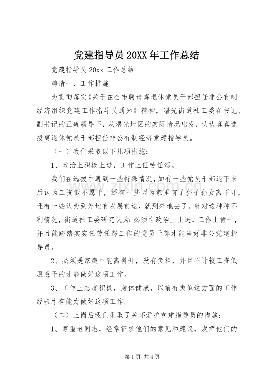 党建指导员20XX年工作总结.docx_第1页