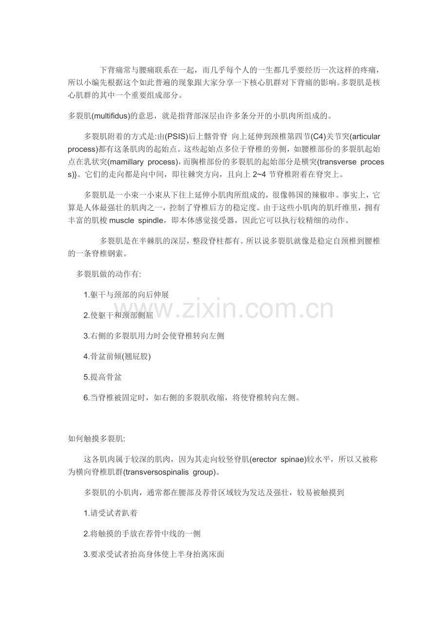 多裂肌与下背痛.doc_第1页