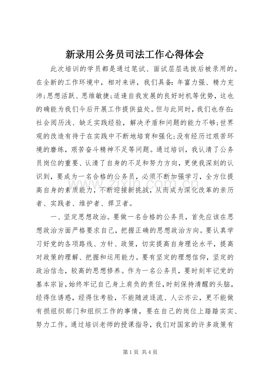 新录用公务员司法工作体会心得.docx_第1页