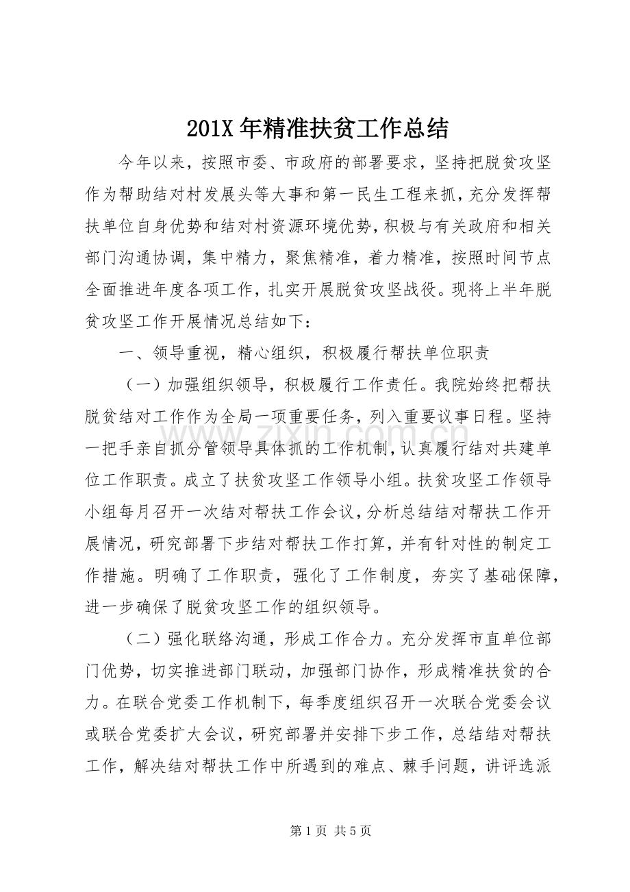 202X年精准扶贫工作总结.docx_第1页