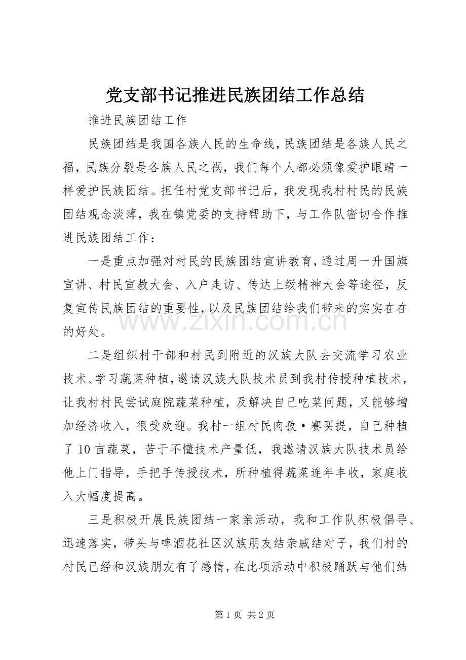 党支部书记推进民族团结工作总结 .docx_第1页