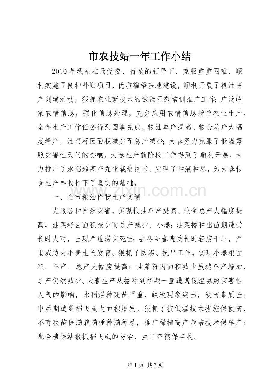 市农技站一年工作小结 .docx_第1页
