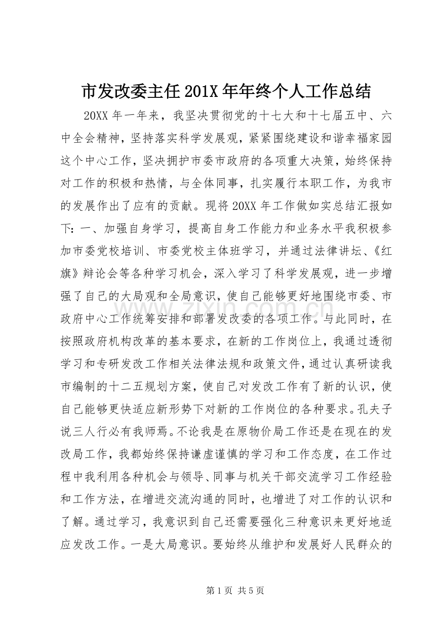 市发改委主任202X年年终个人工作总结.docx_第1页