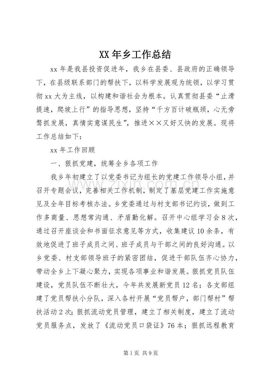 XX年乡工作总结 .docx_第1页