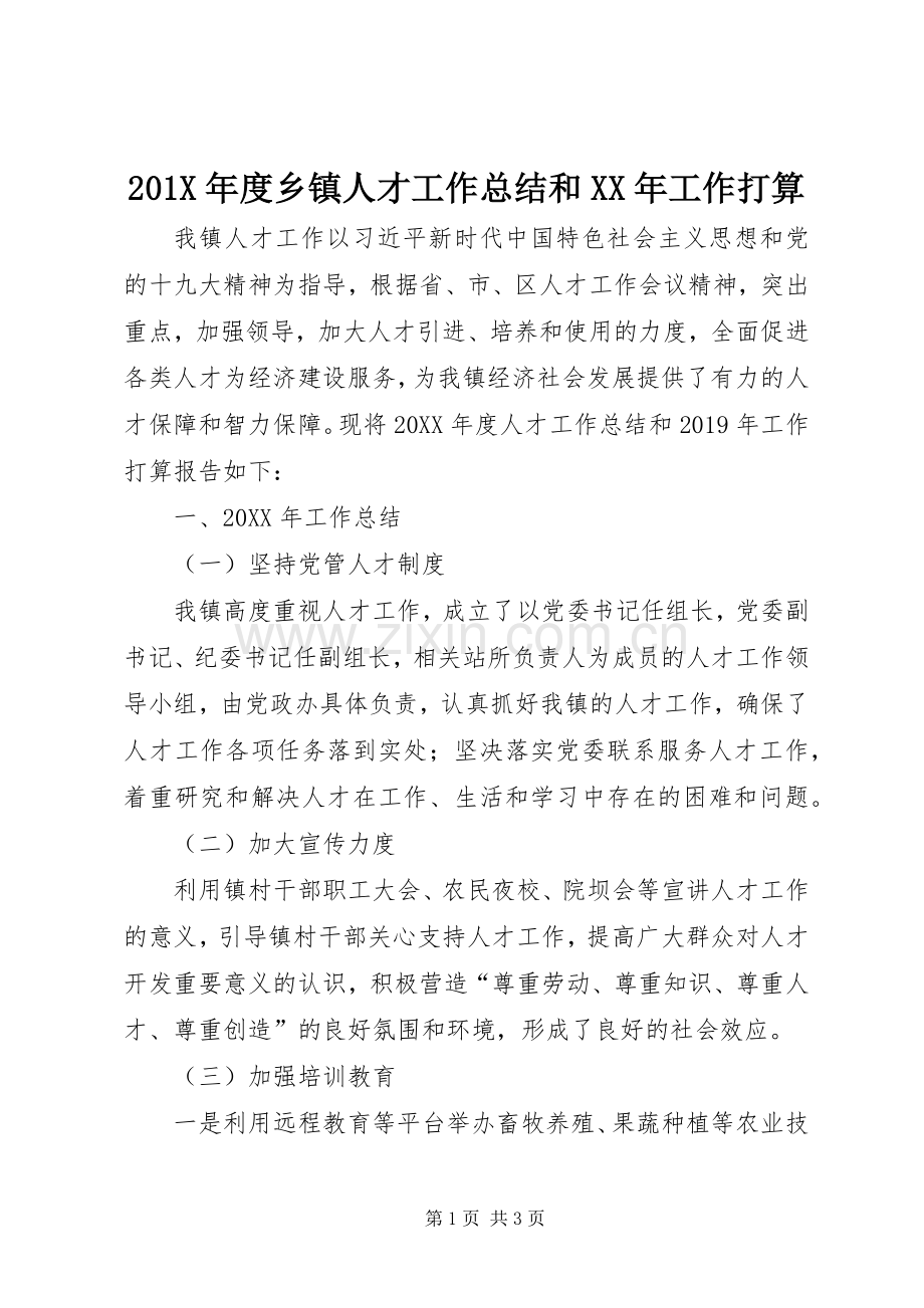 202X年度乡镇人才工作总结和XX年工作打算.docx_第1页