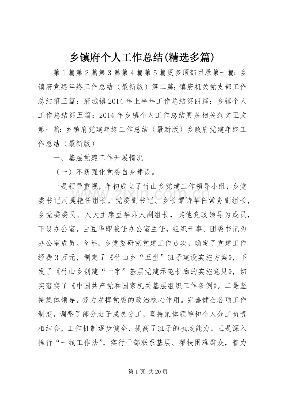 乡镇府个人工作总结(多篇) .docx_第1页