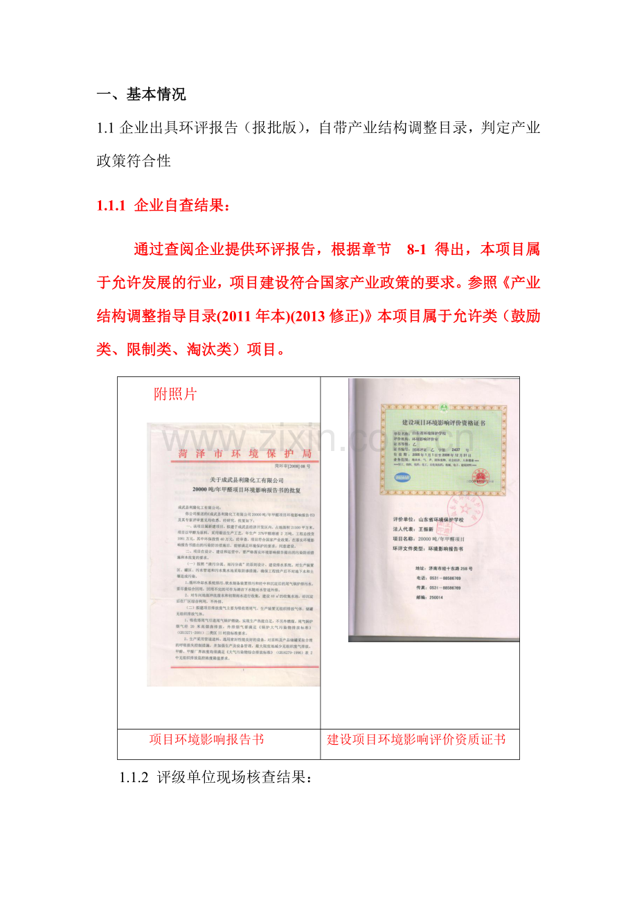 成武化工项目环保评分工作模板.docx_第2页